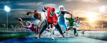 解析巴尔的摩金莺队如何利用农场深度在竞争激烈的美东区突围